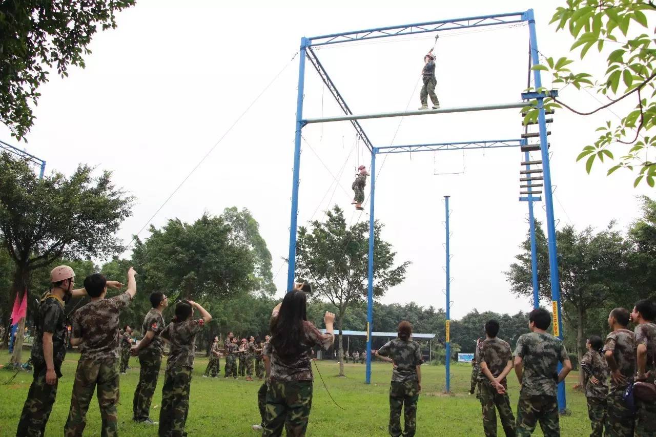 熔煉團隊，快樂前行 食為天拓展訓練營，打造高績效團隊新體驗